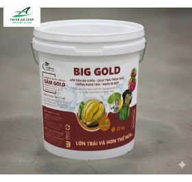 BIG GOLD (SÂM GOLD) 3.3.12