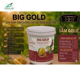  BIG GOLD 3.3.12 