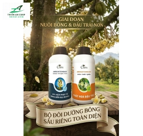 BỘ ĐÔI AMERICAN TECHNOLOGY 