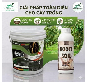ROOTS SOIL