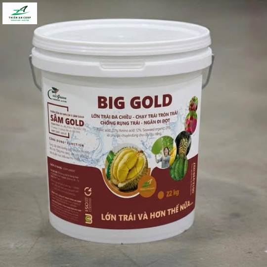 BIG GOLD (SÂM GOLD) 3.3.12
