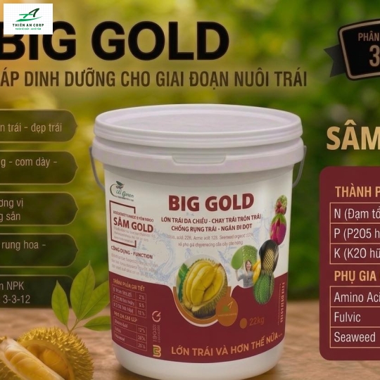  BIG GOLD 3.3.12 