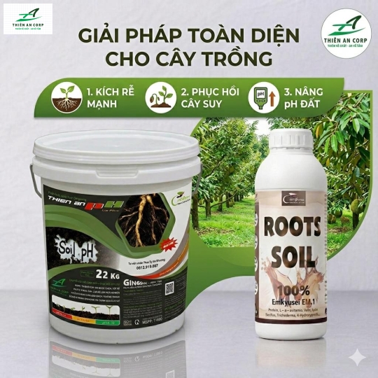 ROOTS SOIL