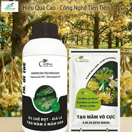 TA. ỨC CHẾ (Tripotassium TKP - Chlormequat CCC) & TẠO MẦM VÔ CỰC 